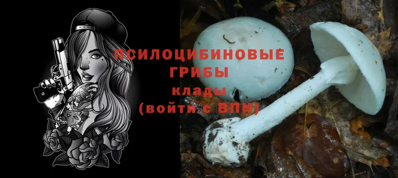 Галлюциногенные грибы Cubensis  Энем 